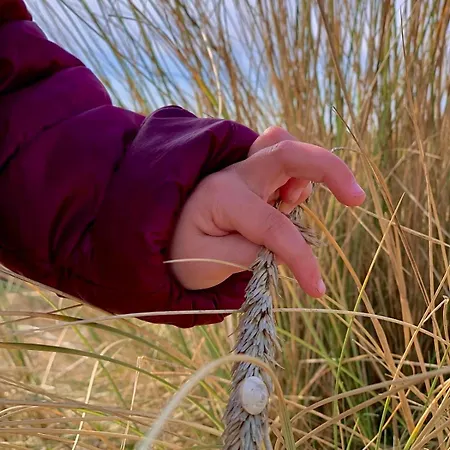 Apartman Vakantieverblijf Les Graminees *