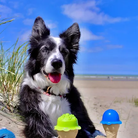 Vakantieverblijf Les Graminees