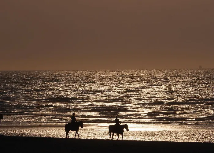 Appartamento Vakantieverblijf Les Graminées