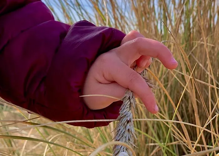 Appartamento Vakantieverblijf Les Graminées *