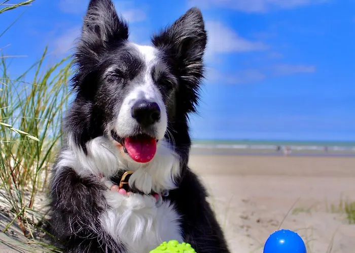 Vakantieverblijf Les Graminées